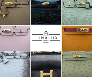 Decoding Desire: The Ultimate Guide to Hermès Leathers